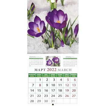 Календарь на 2022 год 'Календарь природы' (30210) Календарь на 2022 год 'Календарь природы' (30210)