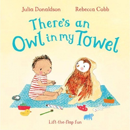 Чтение на английском языке, книга There's an Owl in My Towel. Board book заказать