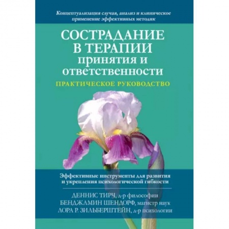 Психология отношений, книга Сострадание в терапии принятия и ответственности. Практическое руководство заказать
