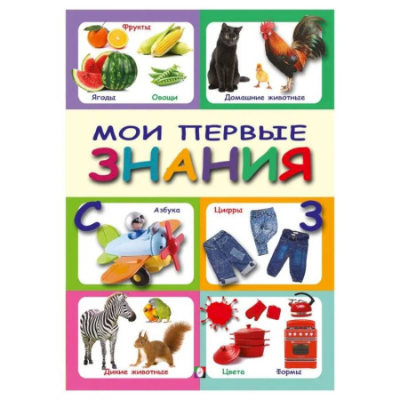 Окружающий мир, книга Мои первые знания заказать