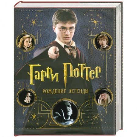 Книги, книга Гарри Поттер. Рождение легенды заказать
