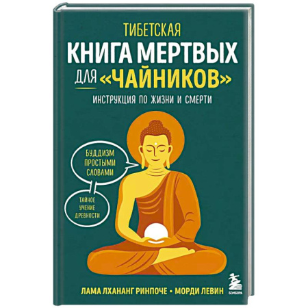 Эзотерика. Оккультизм, книга Тибетская Книга мертвых для 'чайников'. Инструкция по жизни и смерти заказать