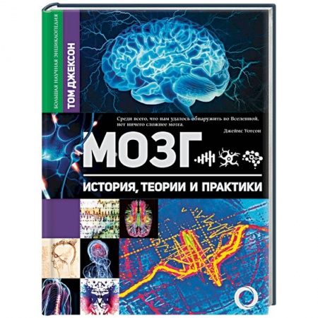 Анатомия и физиология человека, книга Мозг. История, теории и практики заказать