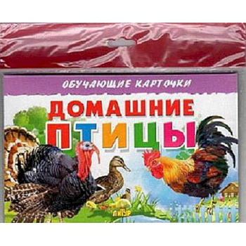 Домашние птицы Домашние птицы