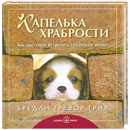 Книги, книга Капелька храбрости. Как достойно встречать трудности жизни заказать