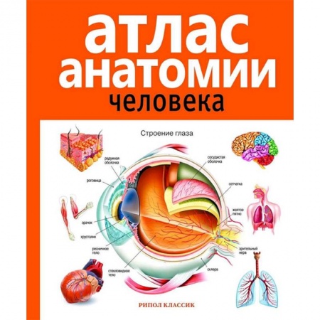 Биологические науки. Анатомия, книга Атлас анатомии человека заказать