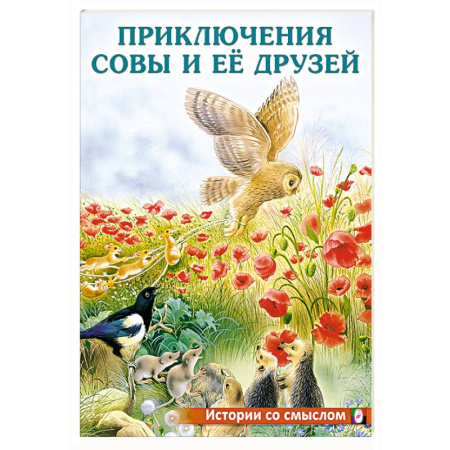 Книги для дошкольников (4-6 лет), книга Приключения совы и её друзей заказать