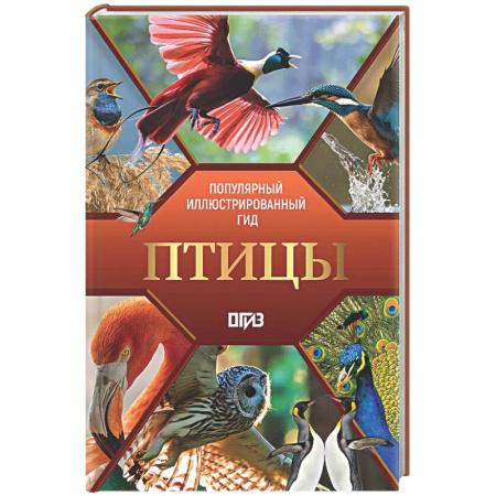 Животный и растительный мир, книга Птицы. Иллюстрированный гид заказать