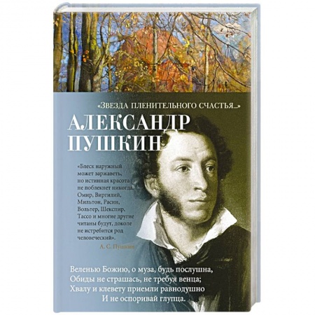 Русская поэзия, книга Звезда пленительного счастья... заказать