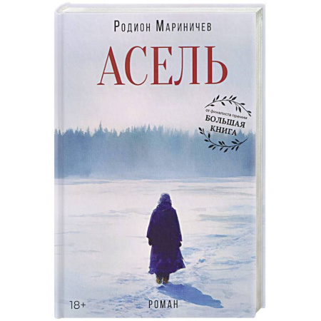 Русская современная проза, книга Асель заказать