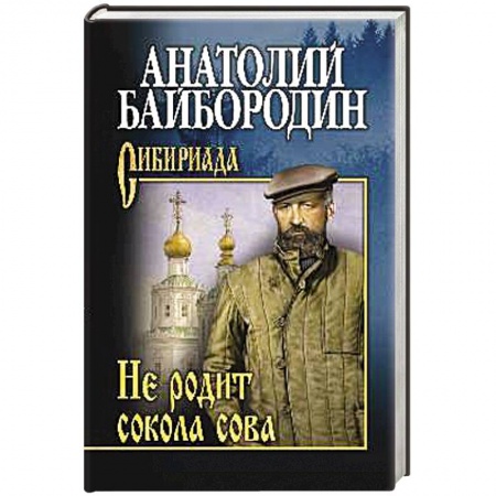 Русская современная проза, книга Не родит сокола сова заказать