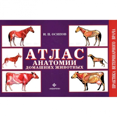 Ветеринария, книга Атлас анатомии домашних животных заказать