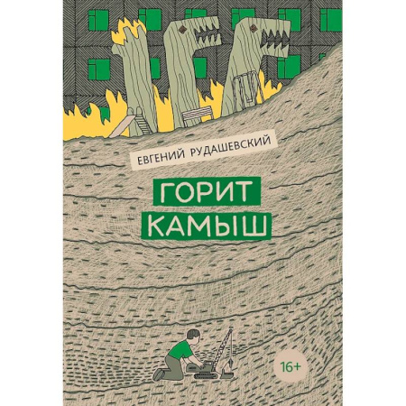 Отечественная литература для детей, книга Горит камыш заказать