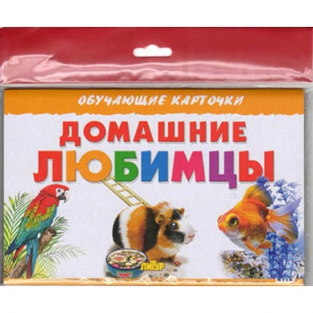 Животный и растительный мир, книга Домашние любимцы заказать