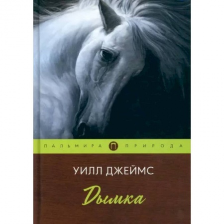 Зарубежная классика, книга Дымка заказать