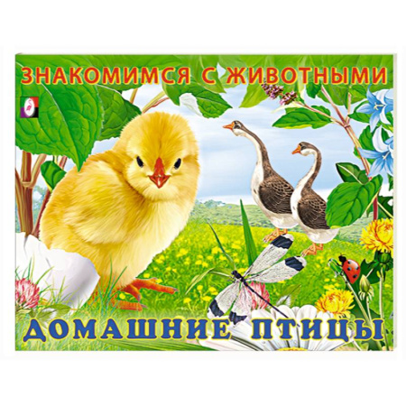 Животный и растительный мир, книга Домашние птицы заказать