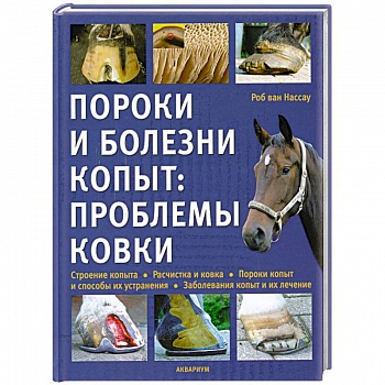 Пороки и болезни