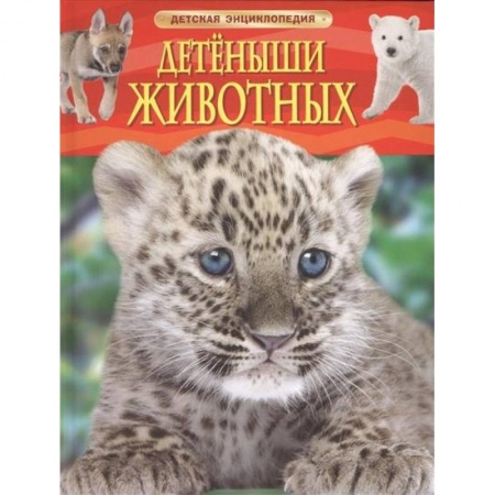 Книги, книга Детеныши животных заказать