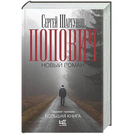 Русская современная проза, книга Попович заказать