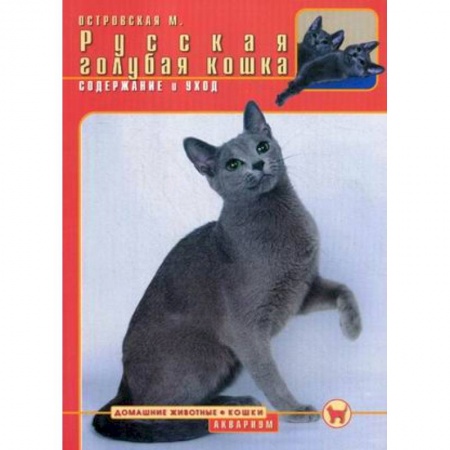 Книги, книга Русская голубая кошка. Содержание и уход заказать