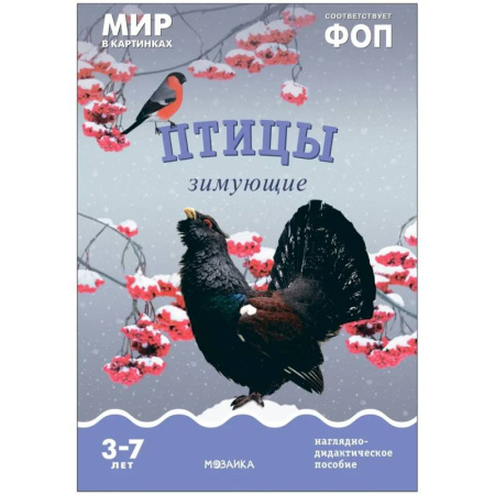 Животный и растительный мир, книга Птицы зимующие: Наглядно-дидактическое пособие заказать