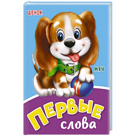 Книги для дошкольников (4-6 лет), книга Первые слова заказать