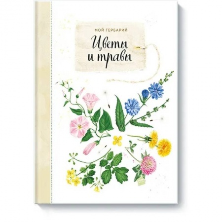 Животный и растительный мир, книга Мой гербарий. Цветы и травы заказать
