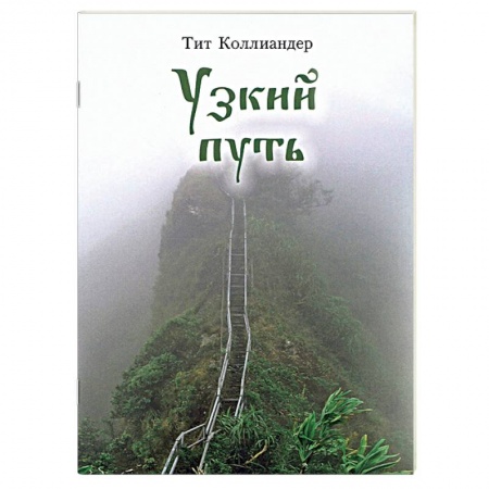 Православие в целом, книга Узкий путь заказать