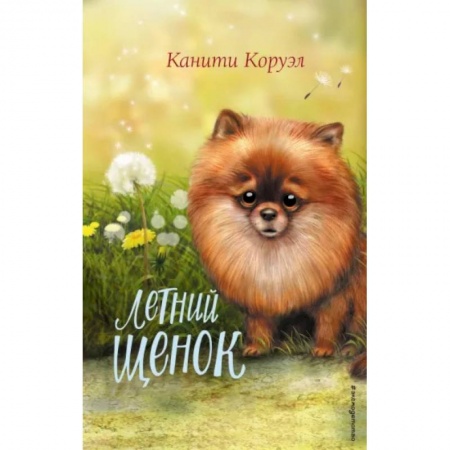 Повести и рассказы о детях, книга Летний щенок заказать