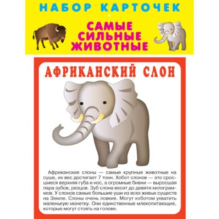 Общая подготовка к школе, книга Набор карточек 'Самые быстрые животные' заказать