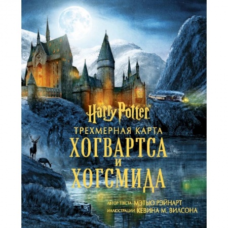 Культура, искусство, книга Гарри Поттер. Трехмерная карта Хогвартса и Хогсмида заказать