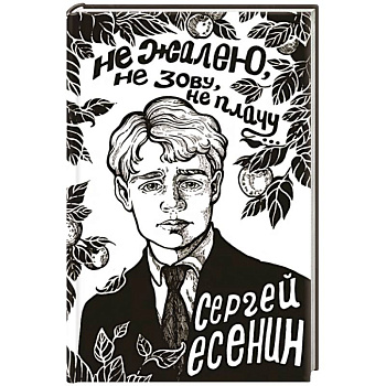 Не жалею, не зову, не плачу... Не жалею, не зову, не плачу...