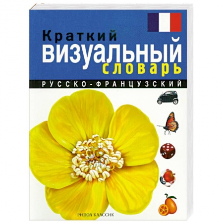 Книги, книга Краткий русско-французский визуальный словарь заказать