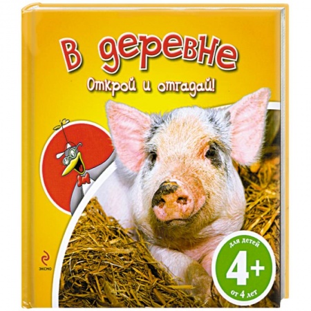 Книги, книга В деревне. 4+ заказать