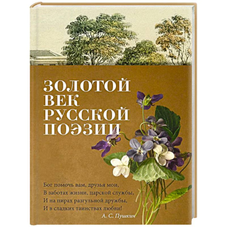 Русская поэзия, книга Золотой век русской поэзии заказать