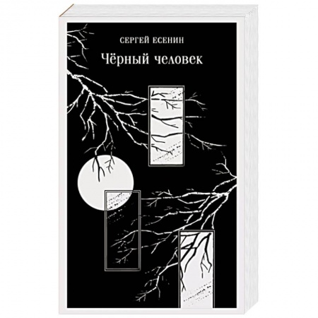 Русская поэзия, книга Чёрный человек заказать