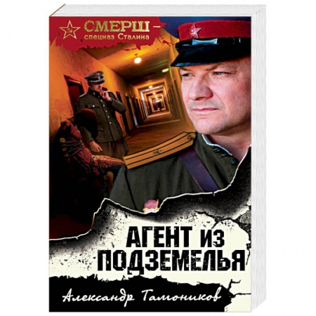 Отечественный мужской детектив, книга Агент из подземелья заказать