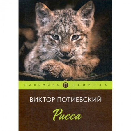Русская современная проза, книга Рисса заказать