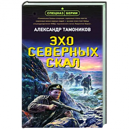 Боевики, военные, книга Эхо северных скал заказать