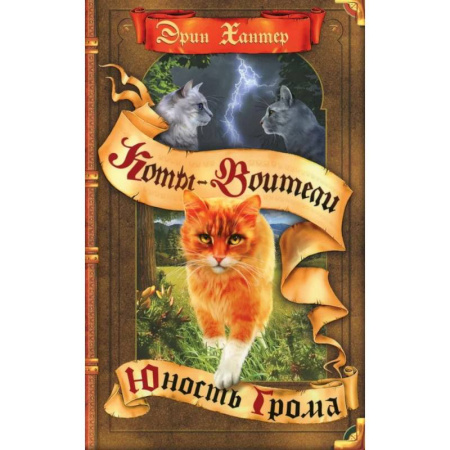 Мистика. Фантастика. Фэнтези, книга Коты-воители. Юность Грома заказать