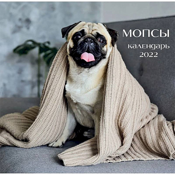Мопсы (фото). Календарь настенный на 2022 год Мопсы (фото). Календарь настенный на 2022 год