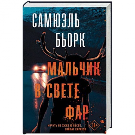 Зарубежный детектив, книга Мальчик в свете фар заказать