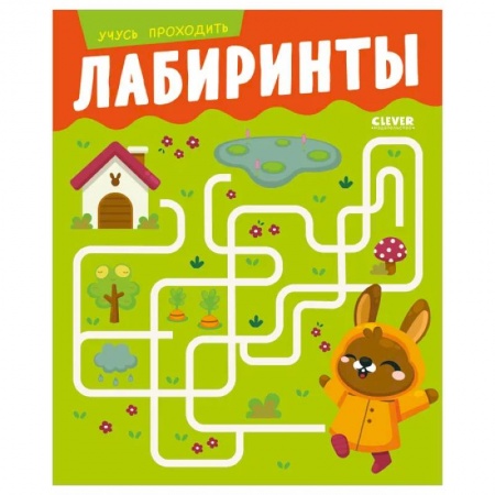 Кроссворды, головоломки, комиксы, книга Развивайся и играй! Учусь проходить лабиринты заказать