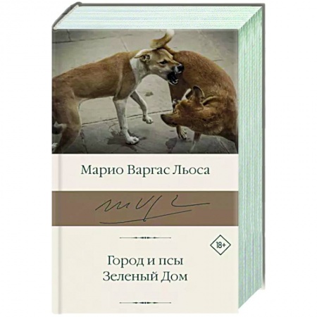 Зарубежная классика, книга Город и псы. Зеленый Дом заказать