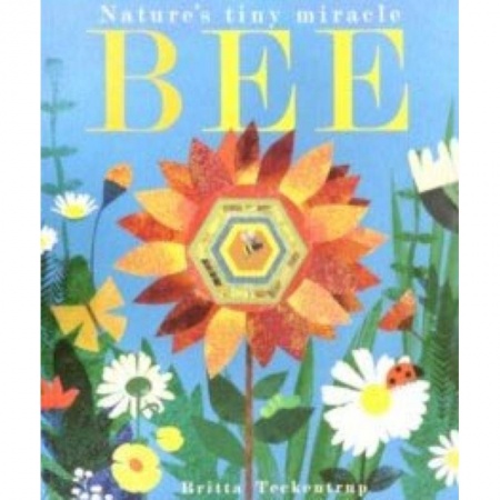 Чтение на английском языке, книга Nature's Tiny Miracle заказать