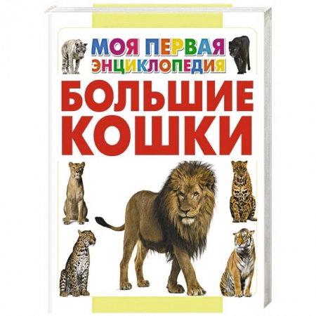 Книги, книга Большие кошки заказать