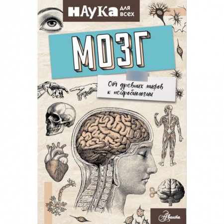 Психология личности, книга Мозг. От древних мифов к нейробиологии заказать