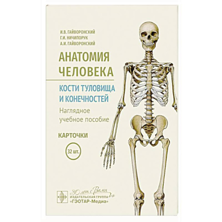 Анатомия и физиология человека, книга Анатомия человека. Кости туловища и конечностей. Карточки: Наглядное учебное пособие заказать