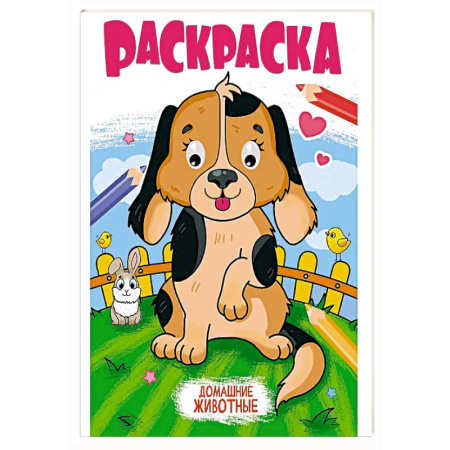 Животные. Птицы. Растения, книга Домашние животные заказать