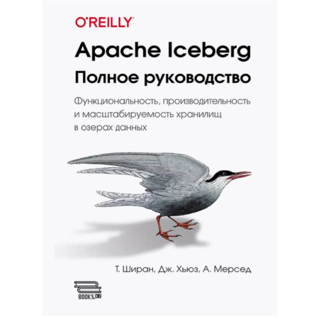 Разработка приложений для баз данных, книга Apache Iceberg. Полное руководство заказать